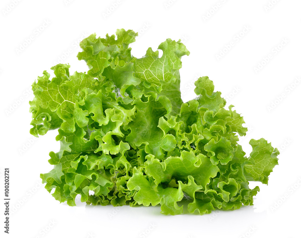 Fresh green lettuce isolated on a white background Fresh green lettuce isolated on a white background