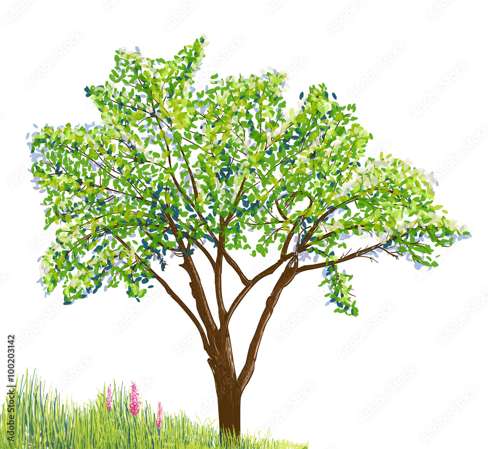 Obraz premium tree and grass with flowers drawing on white