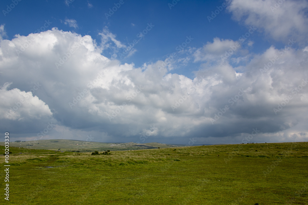Dartmoor - Devon - England