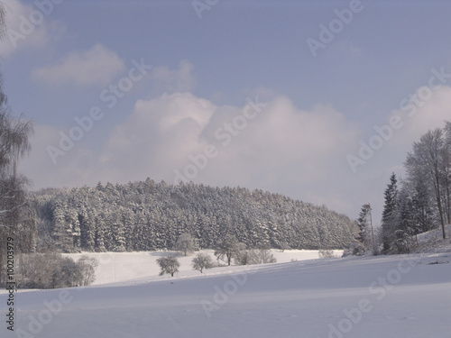 Winterlandschaft © Rene Borchert