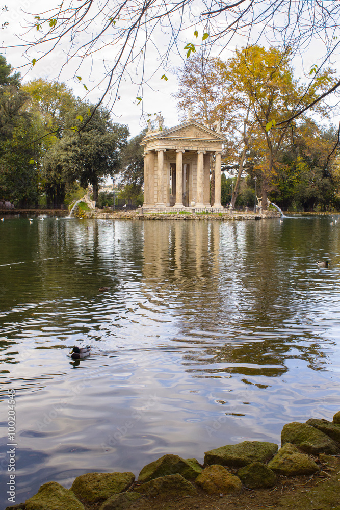 Obraz premium anatre nel laghetto artificiale di villa Borghese Roma