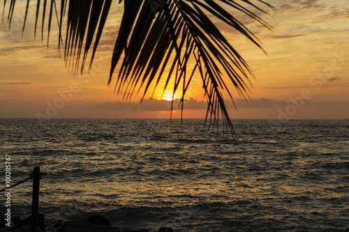 Fototapeta Naklejka Na Ścianę i Meble -  Key West Sunset