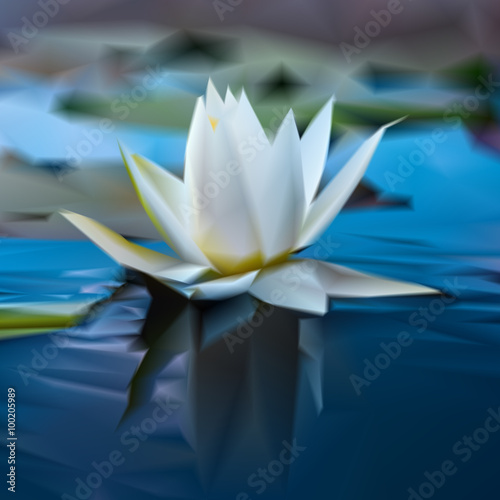 water lily flower vector mesh background