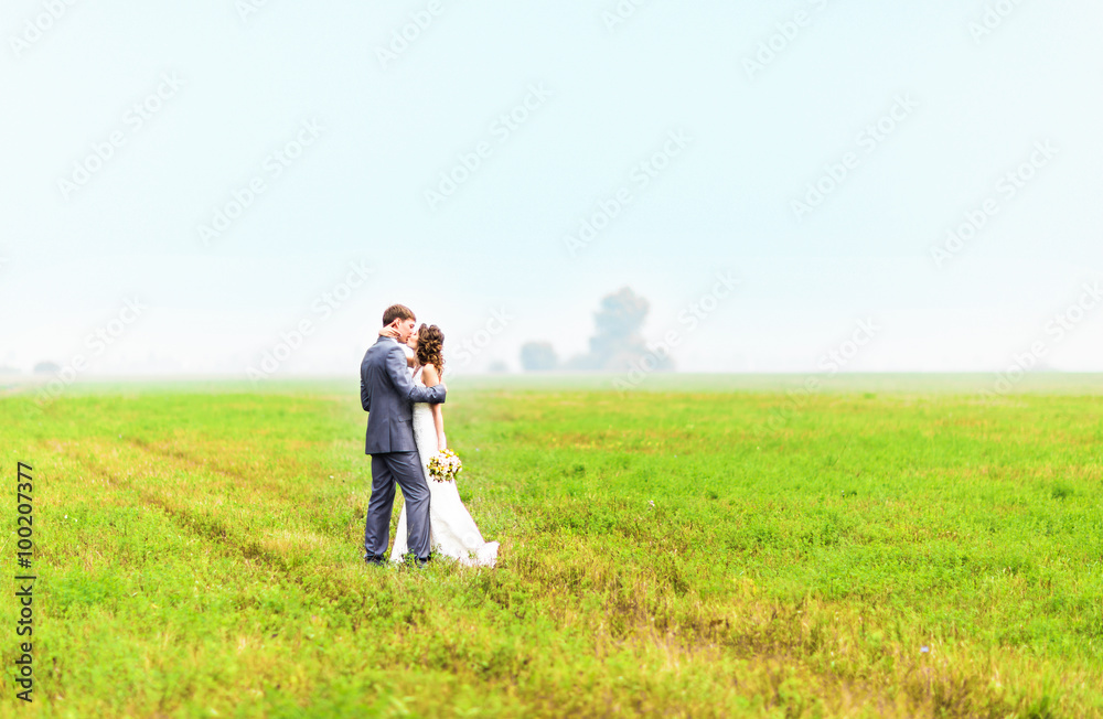 young beautiful wedding couple hugging in a field with grass.