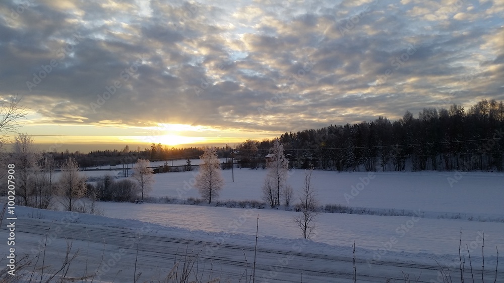 Beautiful sunset over snow coverd field with frost on trees