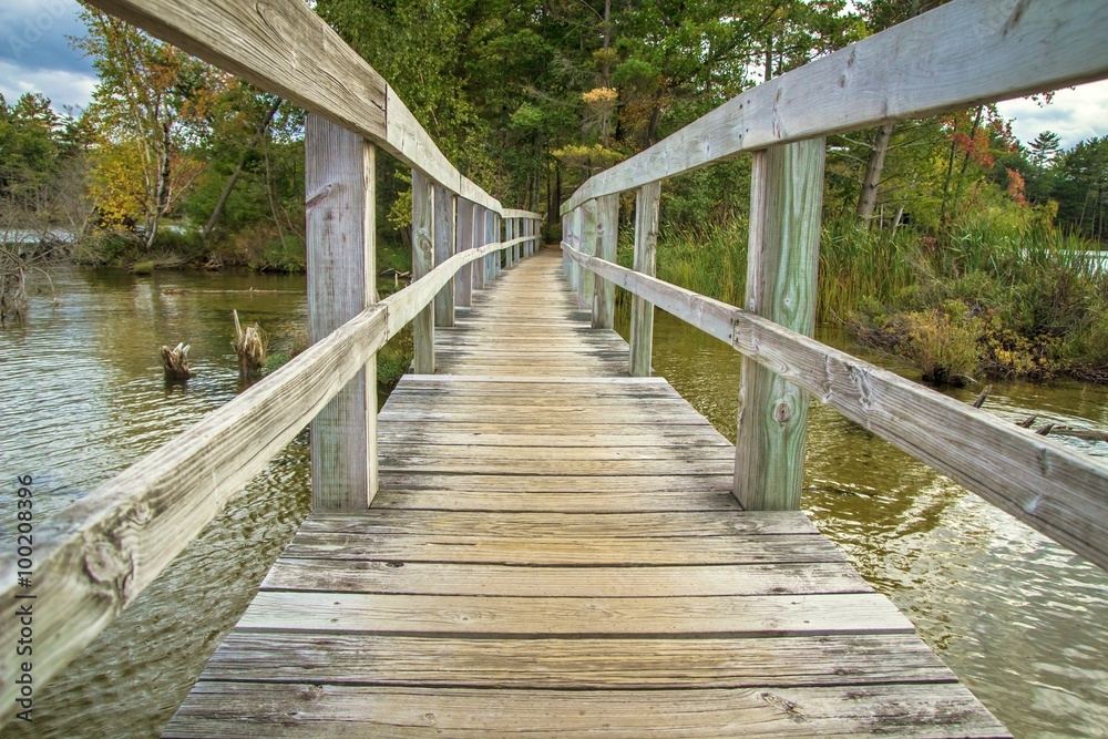 Bridge Over Water. Footbridge over water diminishing into the autumn forest. Ludington State Park. Ludington, Michigan.