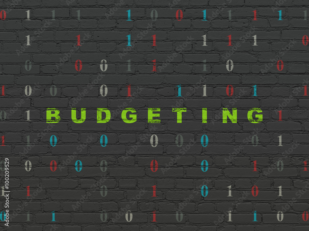 © Maksim Kabakou - Finance concept: Budgeting on wall background