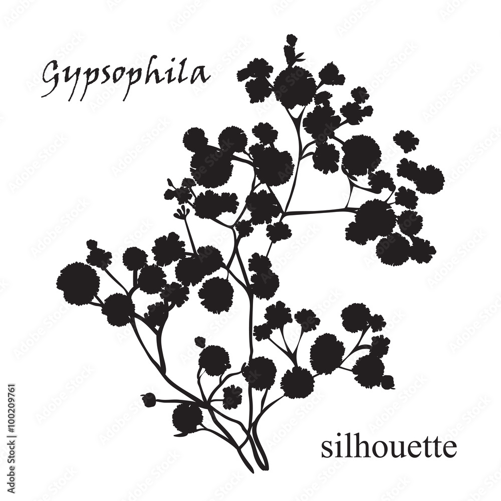 Naklejka premium Branch of beautiful hand-drawn silhouette gypsophila