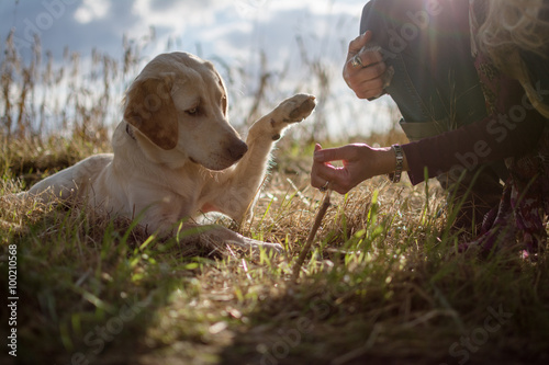 Fototapeta Naklejka Na Ścianę i Meble -  Mensch Hund Team