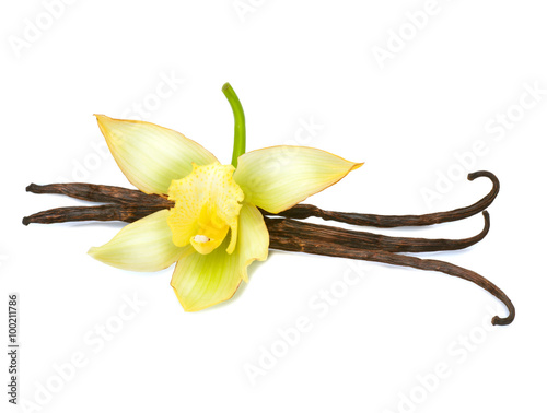 Vanilla pods and flower isolated on a white background