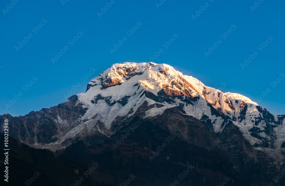 annapurna south peak