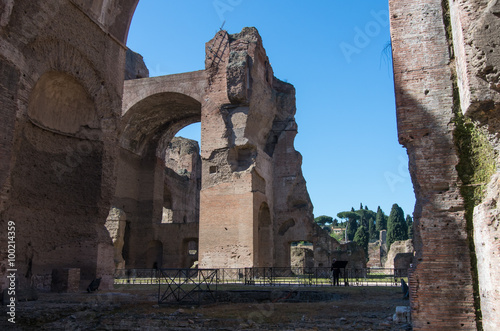 Baths of Caracalla in Rome