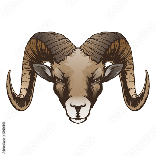 Ram head