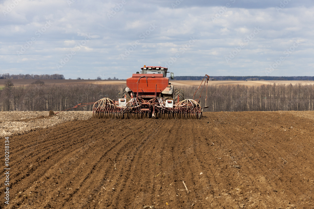 Fototapeta premium sowing of cereals. Spring 