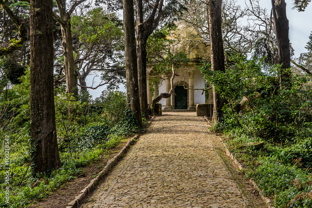 Park of Pena National Palace (Palacio Nacional da Pena) Sintra.