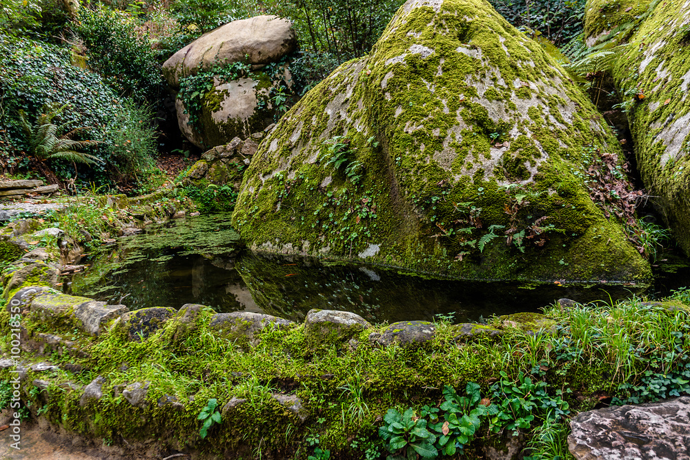 Park of Pena National Palace (Palacio Nacional da Pena) Sintra. Park of Pena National Palace (Palacio Nacional da Pena) Sintra.