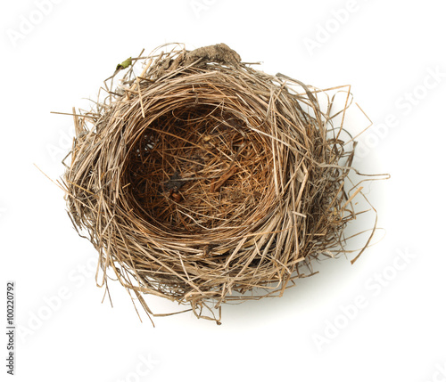 Top view of empty bird nest photo