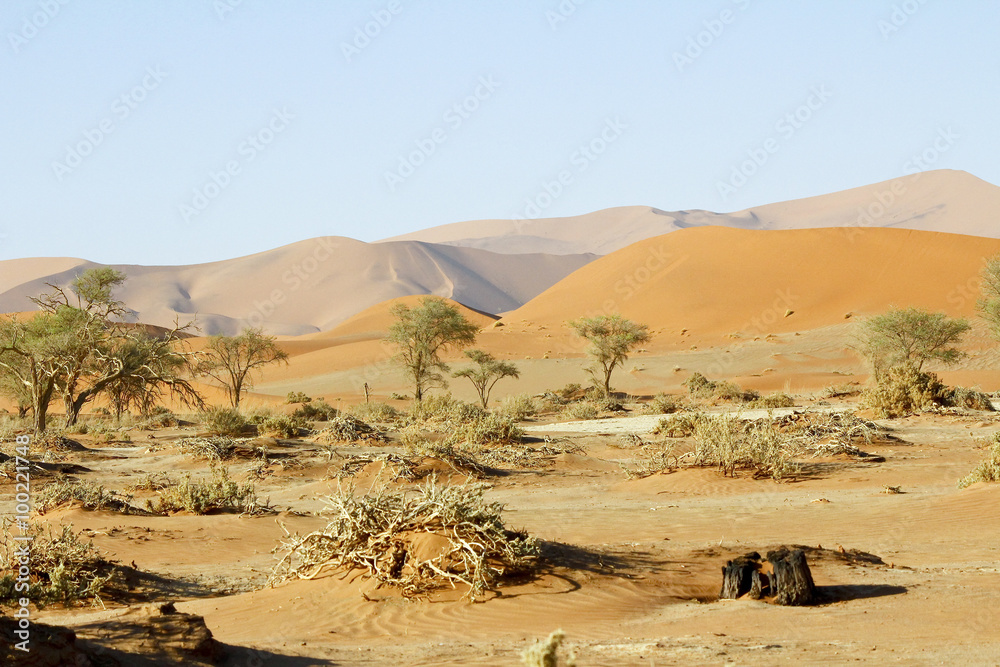 Namibia desert, Africa - panoramic view