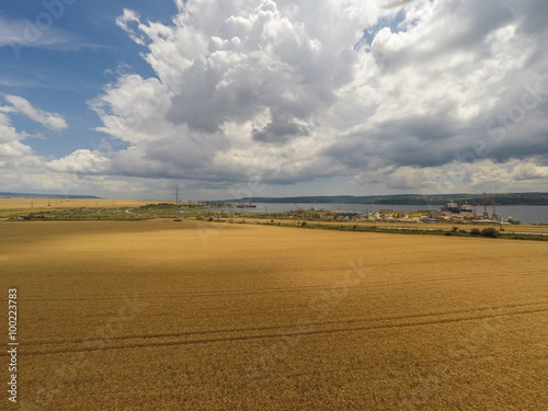 Golden Wheat field, aerial view