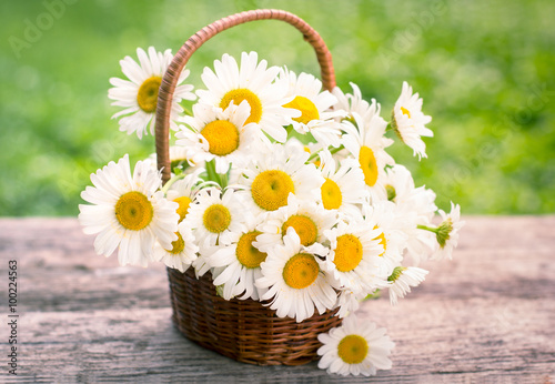 Fototapeta Naklejka Na Ścianę i Meble -  Spring flowers - Daisy flowers in the basket