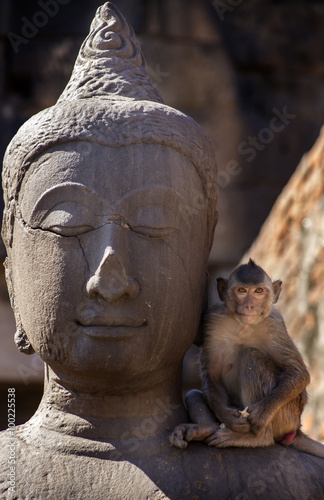 Crab eating macaque on Buddha statue