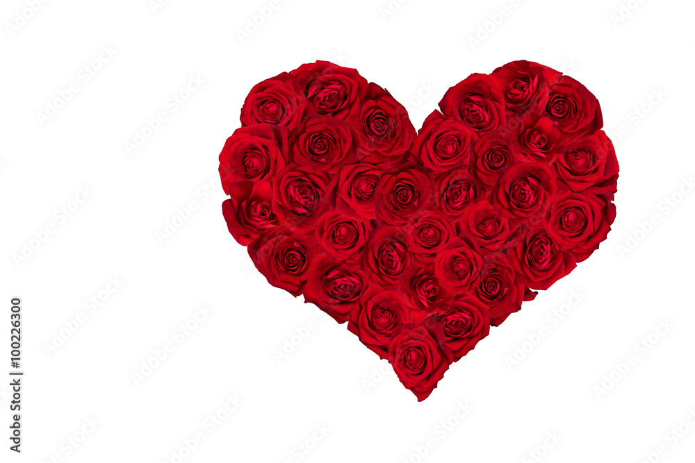 Valentines Day Heart made of Red Roses.  White background.