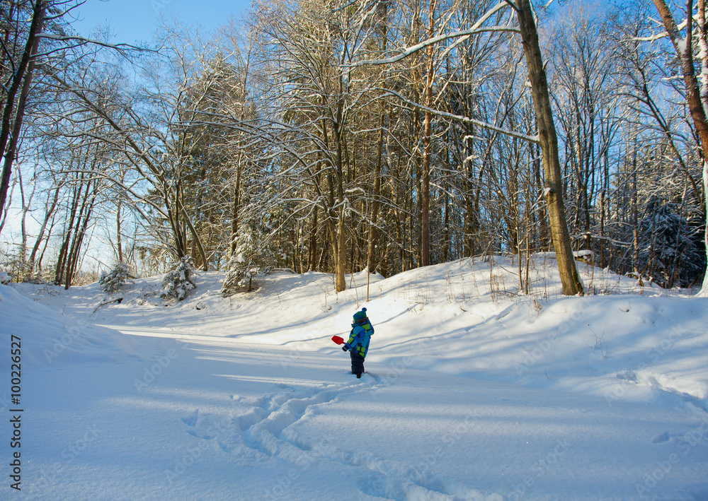 little boy playing in sunny winter day