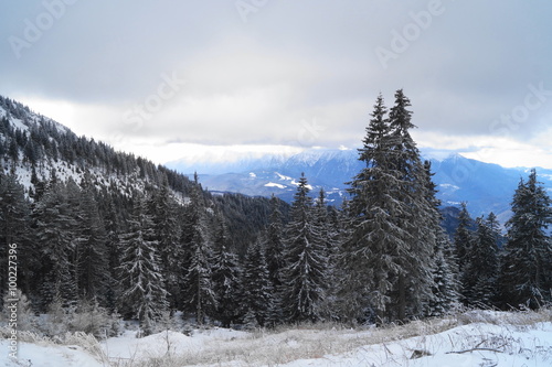 Winter landscape in Romania, Poiana Brasov
