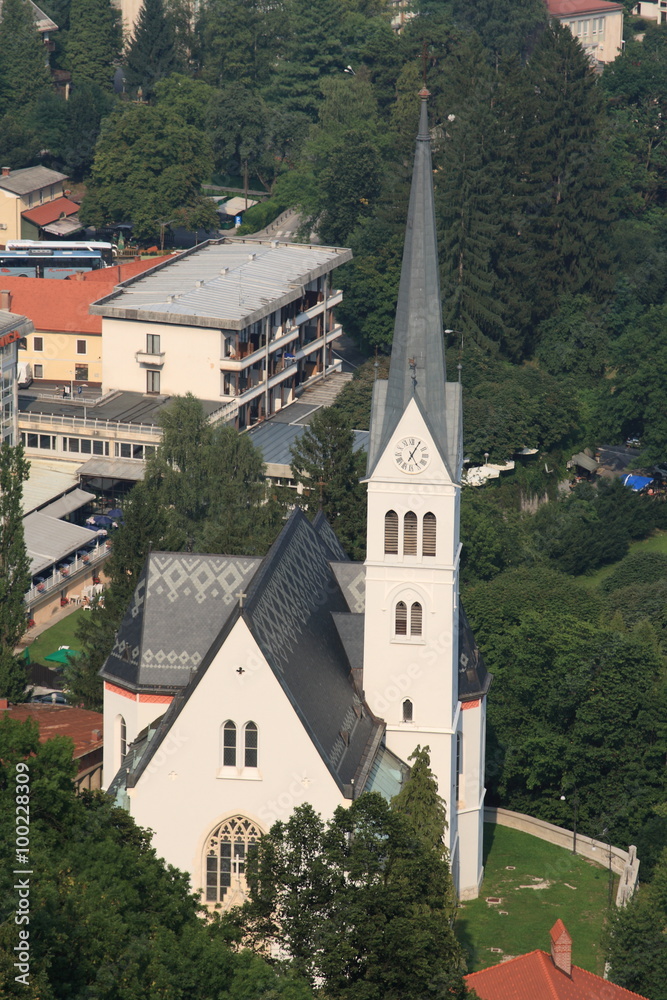 The views of Blead, Slovenia, year 2008