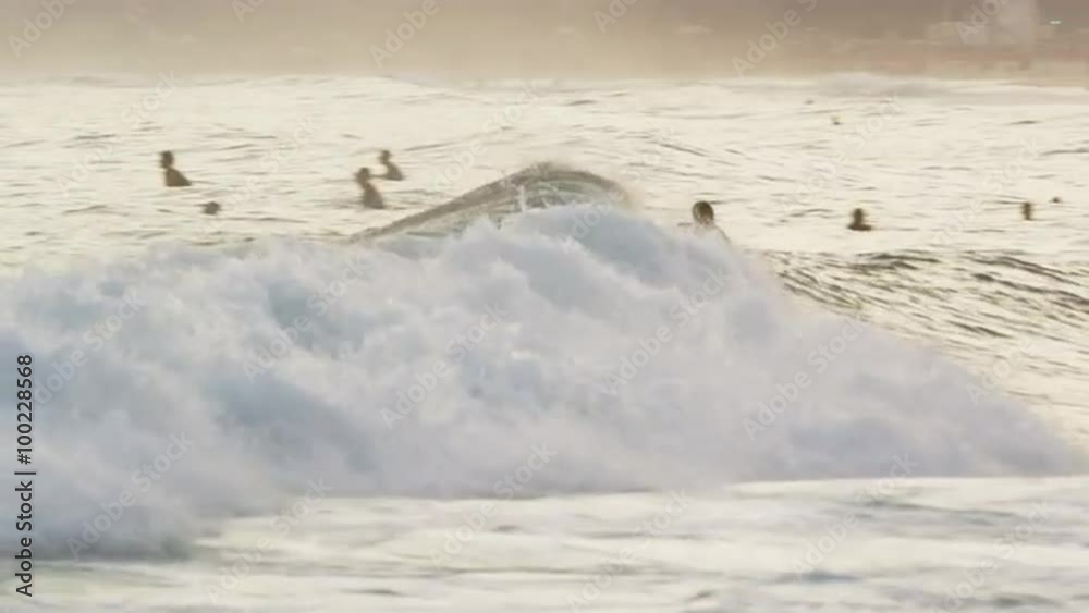 Single surfer riding a wave, with people and city in background. Single surfer riding a wave, with people and city in background.