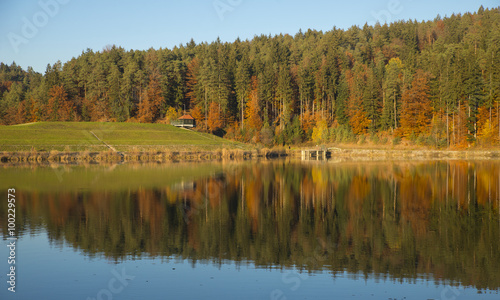 Gradisko lake, Lukovica, Slovenia photo