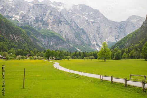 Logarska dolina/ Logar valley, Slovenia photo