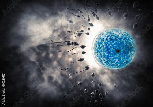 Fotografie Sperm and Egg