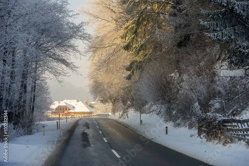 Snowy Tuhinj valley, Slovenia photo