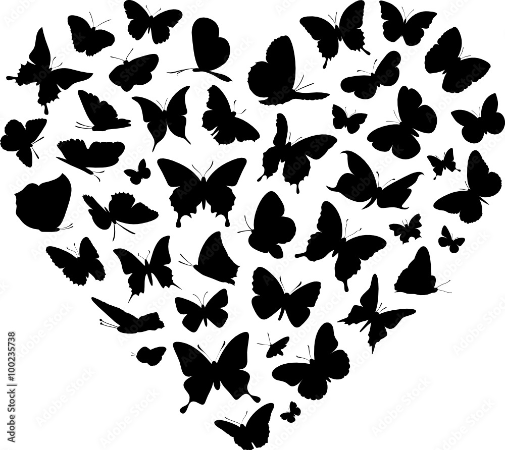 Butterfly Vector Heart Butterfly Vector Heart