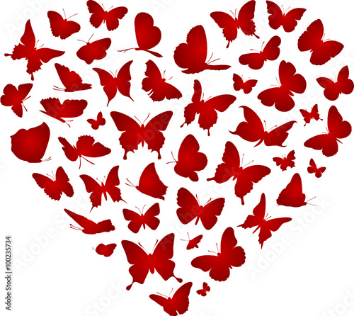 Butterfly Vector Heart