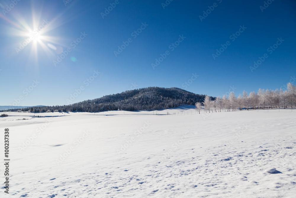 Winter Landscape with Sunshine