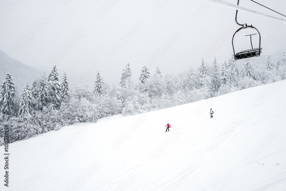 Ski slopes in the coniferous forest in 'Kolasin 1450' mountain Ski slopes in the coniferous forest in 'Kolasin 1450' mountain