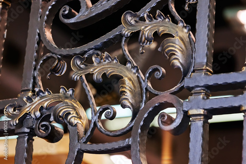 Wrought iron fence