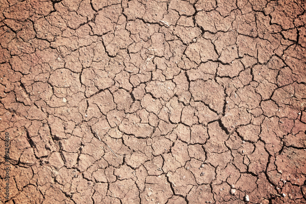 Drought, the ground cracks Drought, the ground cracks