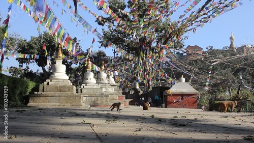 Several small stupas. Slider movement