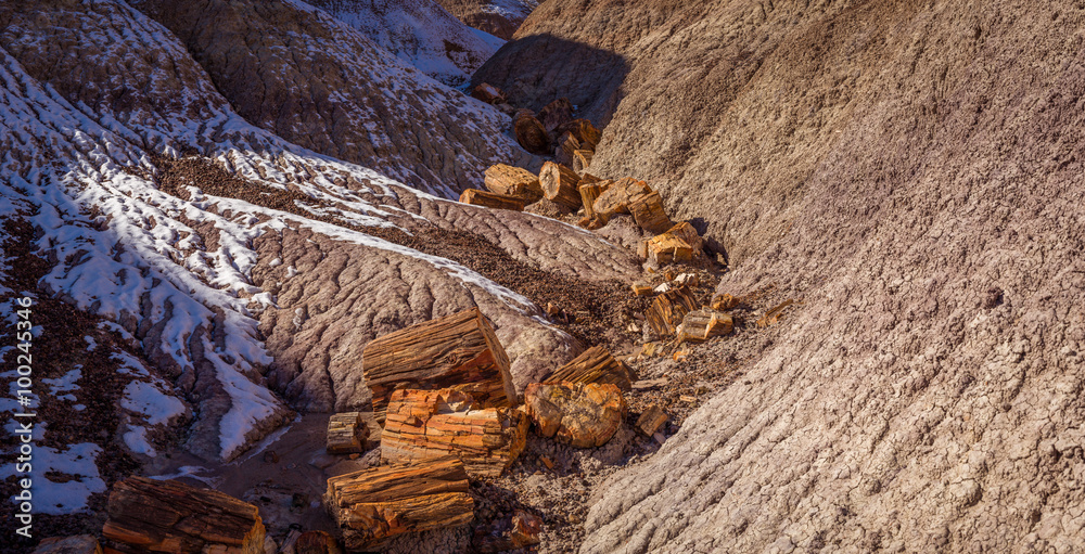 Fototapeta premium Little painted desert landscapes.