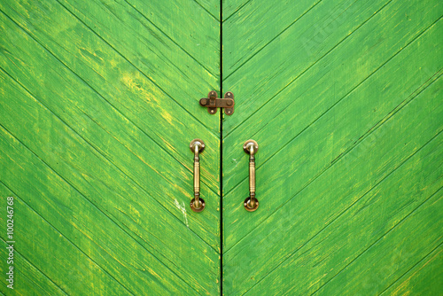 Antique green wooden doors with brass handles and door guard