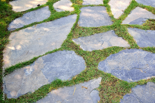 Garden path paved with a natural stone