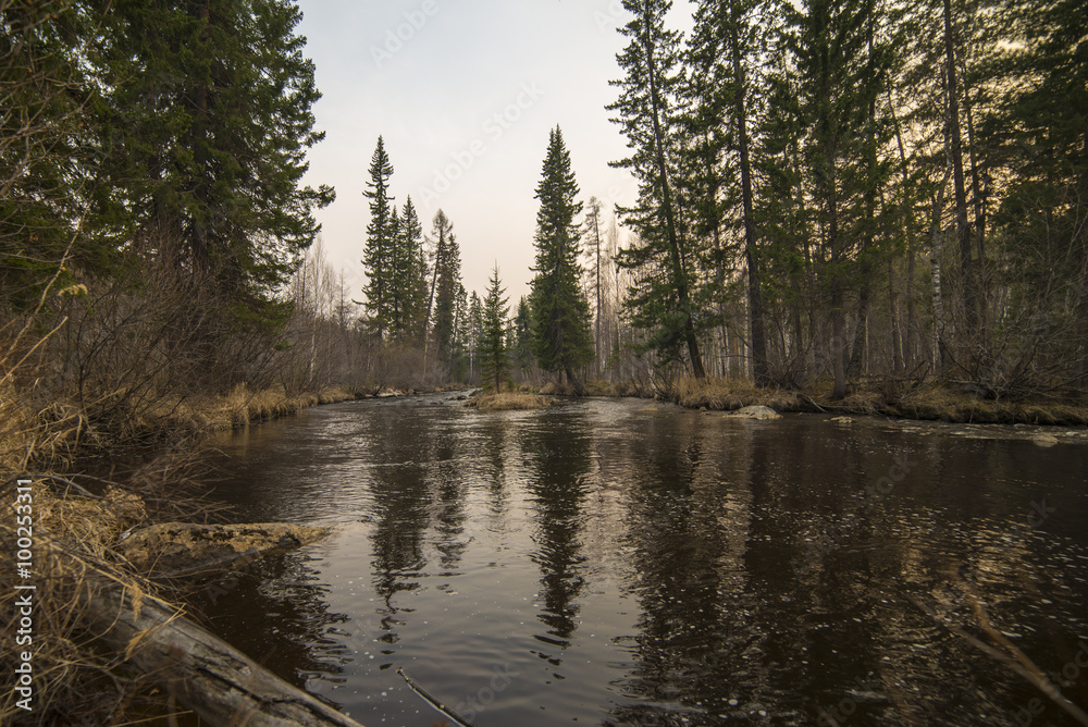 Obraz premium Beautiful view of the river in Siberia