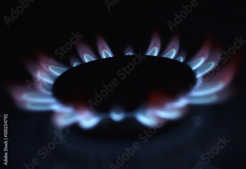 Blue gas flame of a burning stove 