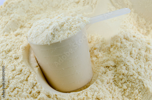 Whey Protein