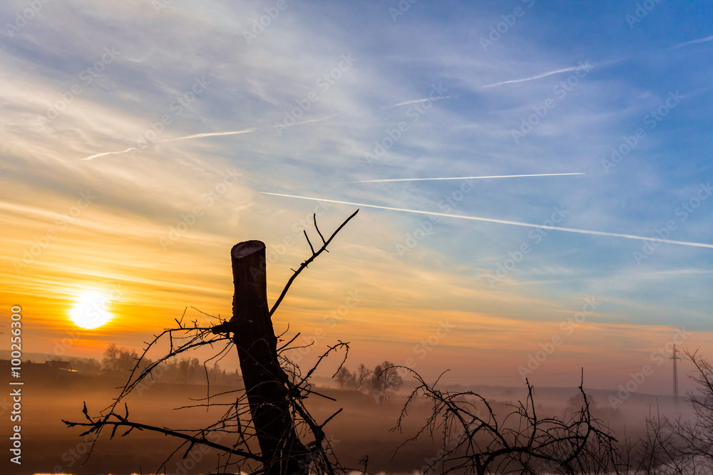 Fototapeta premium Konar na tle wschodzącego słońca