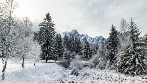 First snow at the mountain