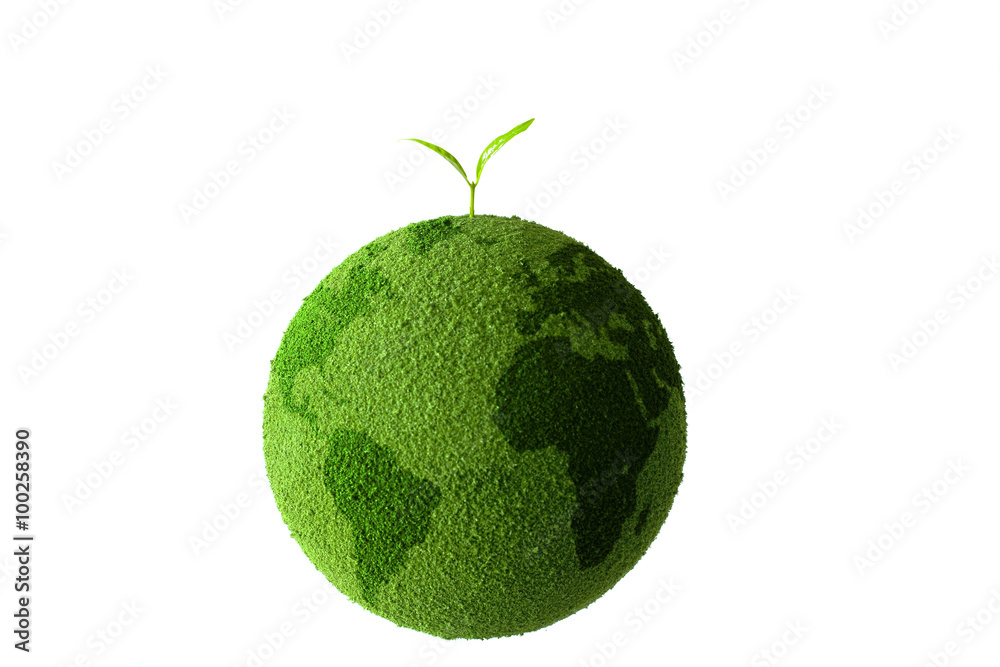 sprout on the green globe sprout on the green globe